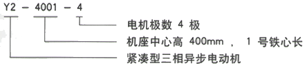 YR系列(H355-1000)高压YJTGKK4505-8三相异步电机西安西玛电机型号说明